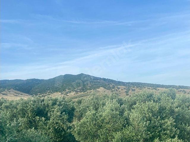 Tire, İzmir içerisinde satılık Arsa