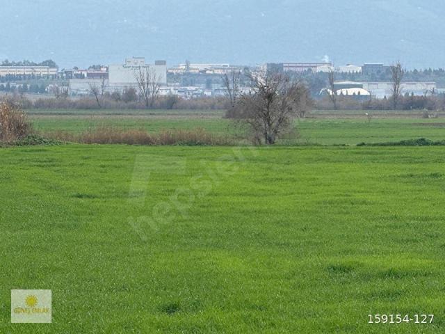 Bayindir, İzmir içerisinde satılık Arsa