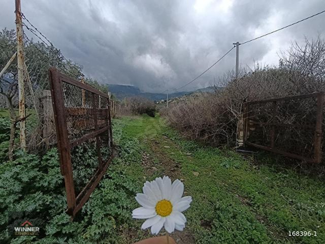 Tire, İzmir içerisinde satılık Arsa