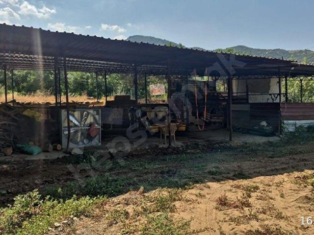 Tire, İzmir içerisinde satılık Fabrika