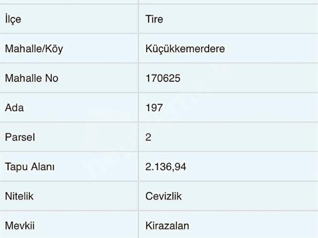 Tire, İzmir içerisinde satılık mülk