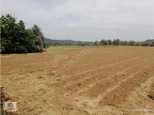 Bayindir, İzmir içerisinde satılık Arsa