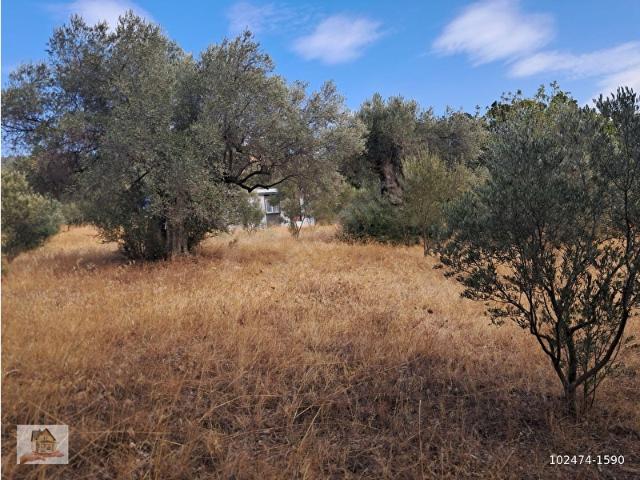 Torbali, İzmir içerisinde satılık mülk