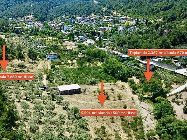 Kemalpaşa, İzmir içerisinde satılık mülk