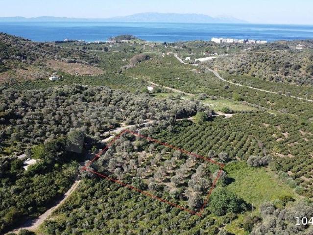Menderes, İzmir içerisinde satılık mülk