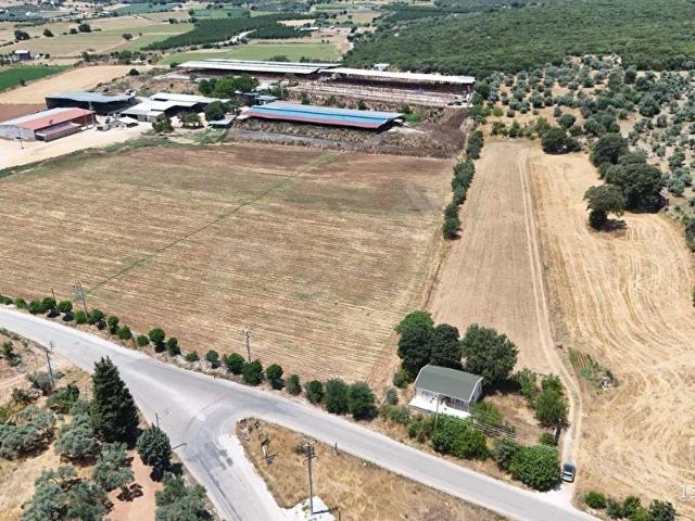 Menderes, İzmir içerisinde satılık Arsa