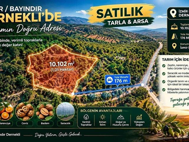 Dernekli Mahallesi, Bayındır içerisinde satılık mülk