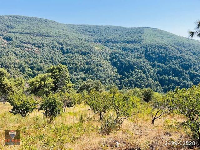 Bayindir, İzmir içerisinde satılık Arsa