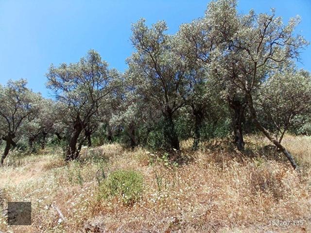 Bayindir, İzmir içerisinde satılık mülk