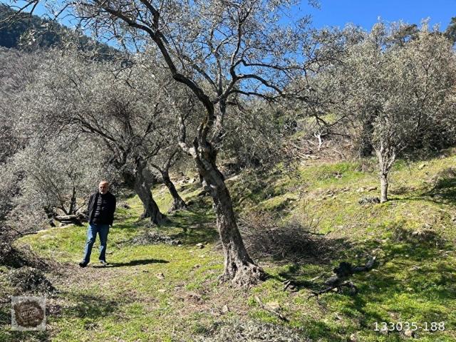 Bayindir, İzmir içerisinde satılık mülk