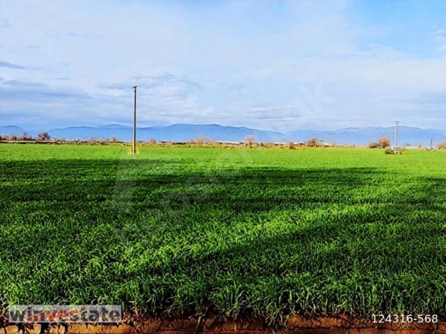 Bayindir, İzmir içerisinde satılık Arsa