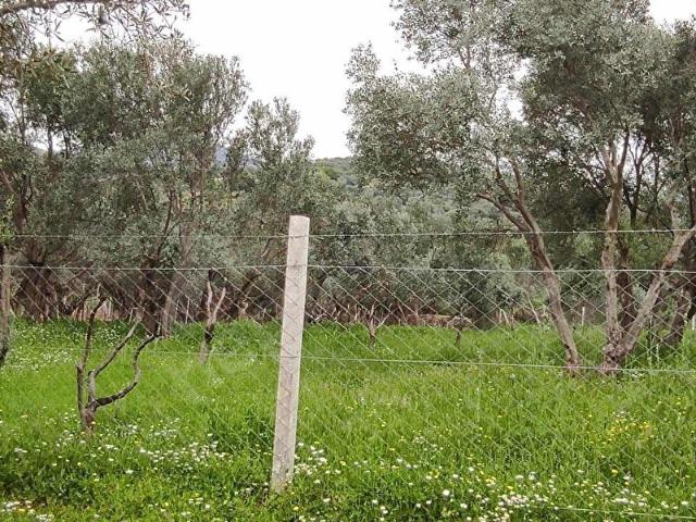 Karahalilli Mahallesi, Bayındır içerisinde satılık mülk