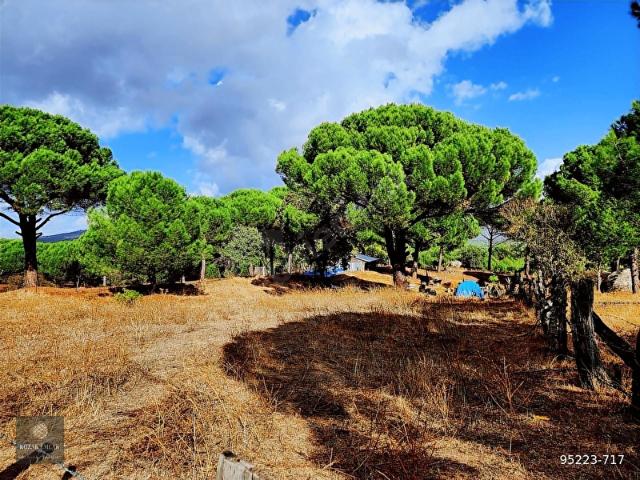 Bergama, İzmir içerisinde satılık Arsa