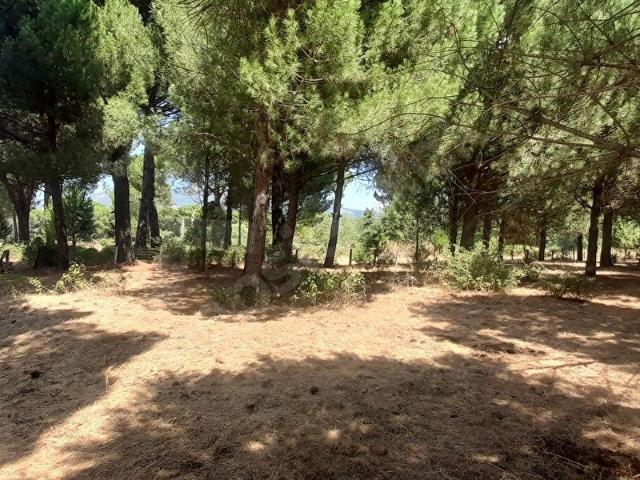 Bergama, İzmir içerisinde satılık Arsa