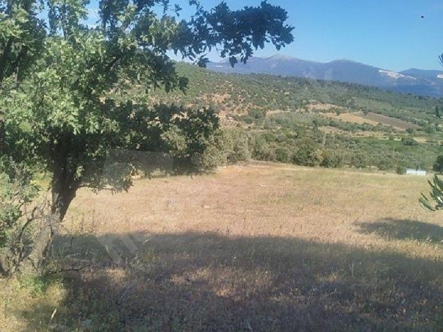 Turabey Mahallesi, Bergama içerisinde satılık Arsa