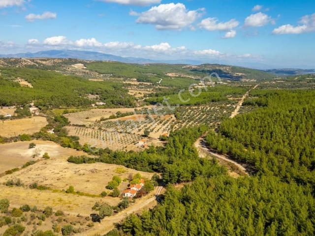 Bergama, İzmir içerisinde satılık Fabrika