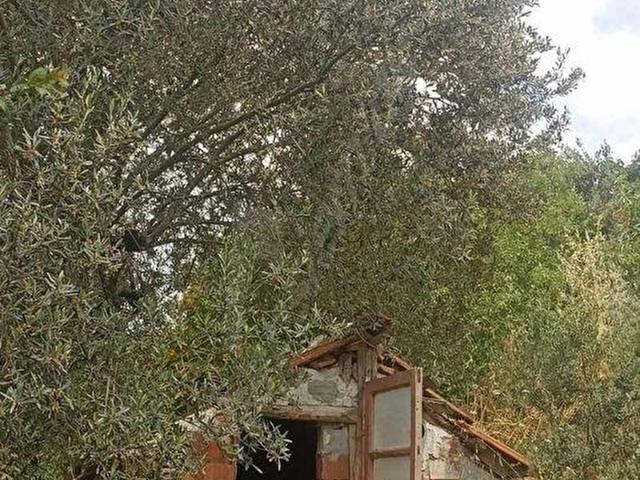 Bergama, İzmir içerisinde satılık Arsa