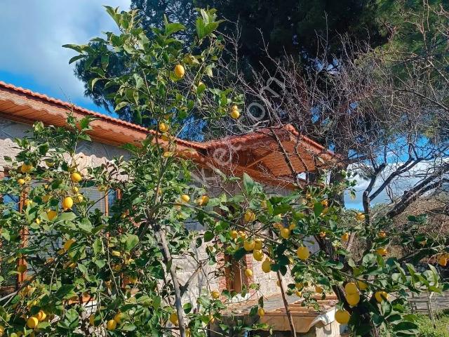 Dikili, İzmir içerisinde kiralık Villa