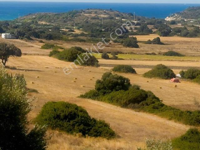 Çeşme, İzmir içerisinde satılık Villa