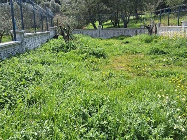 Kozbeyli Mahallesi, Foça içerisinde satılık mülk