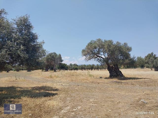 Güzelbahçe, İzmir içerisinde satılık Arsa