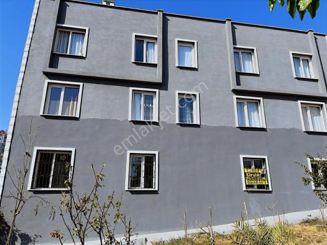 Bornova, İzmir içerisinde kiralık mülk