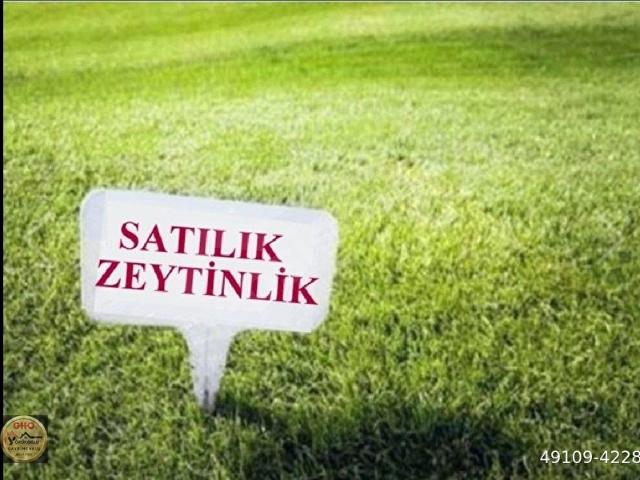 Selçuk, İzmir içerisinde satılık mülk