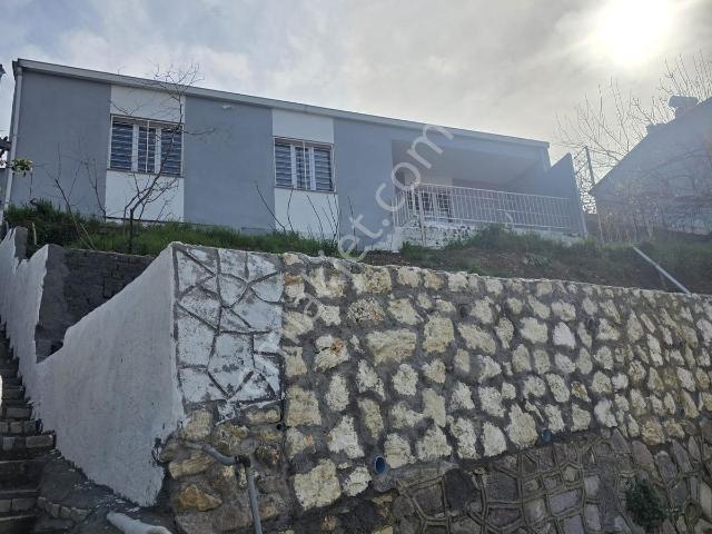 Karabağlar, İzmir içerisinde kiralık mülk