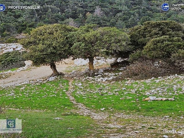 Karaburun, İzmir içerisinde satılık Arsa