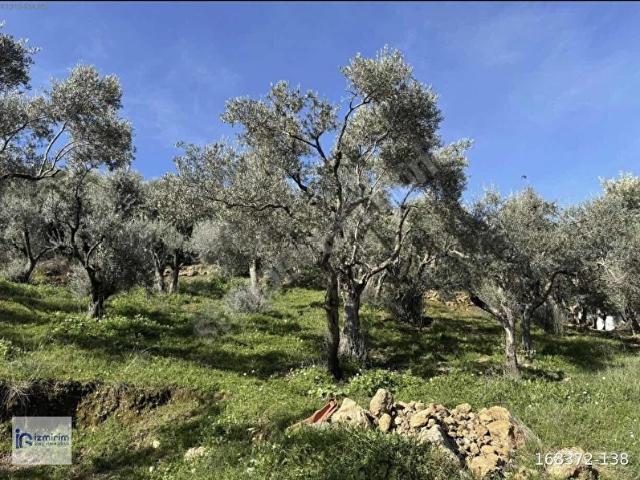 Kemalpaşa, İzmir içerisinde satılık mülk
