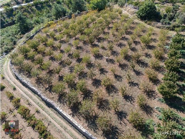 Kemalpaşa, İzmir içerisinde satılık Arsa