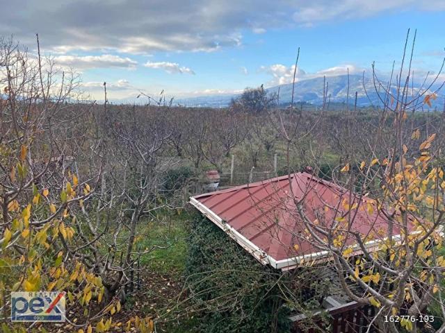 Kemalpaşa, İzmir içerisinde satılık mülk