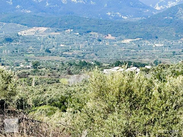 Kemalpaşa, İzmir içerisinde satılık mülk