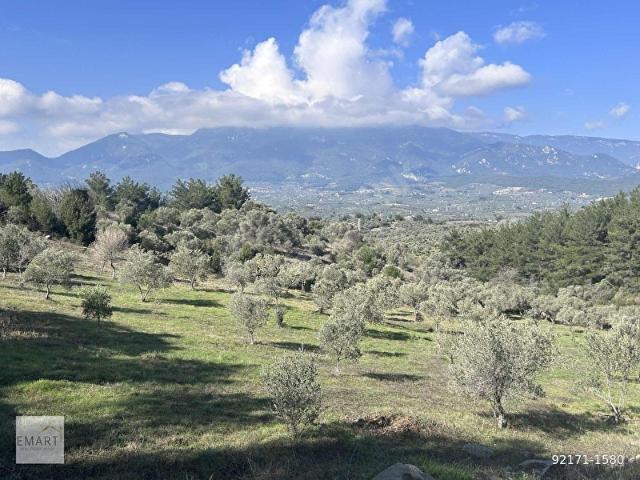Kemalpaşa, İzmir içerisinde satılık mülk