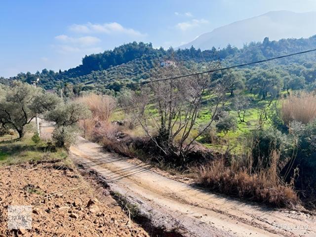 Kemalpaşa, İzmir içerisinde satılık Arsa