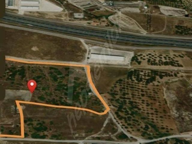 Akalan Mahallesi, Kemalpaşa içerisinde satılık Dükkan