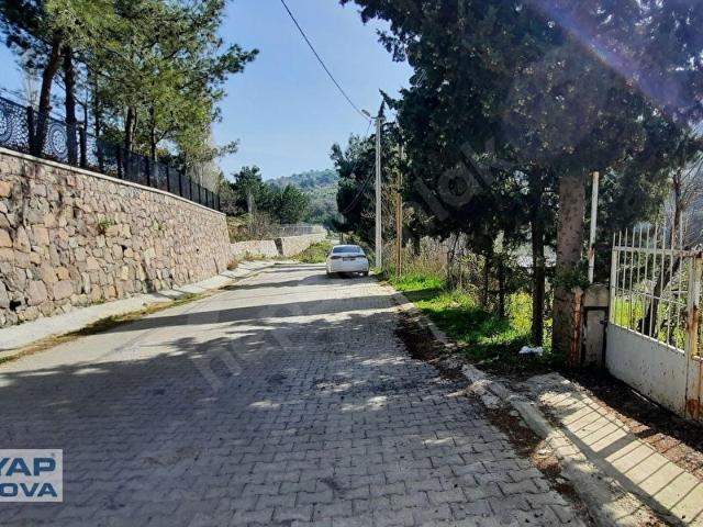 Bornova, İzmir içerisinde satılık mülk