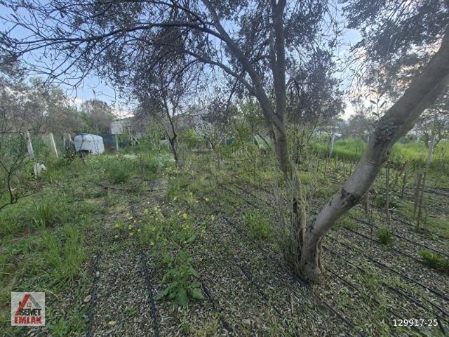 Menderes, İzmir içerisinde satılık Arsa
