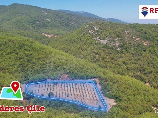 Menderes, İzmir içerisinde satılık Arsa