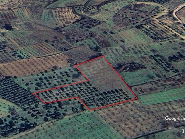 Menemen, İzmir içerisinde satılık Arsa