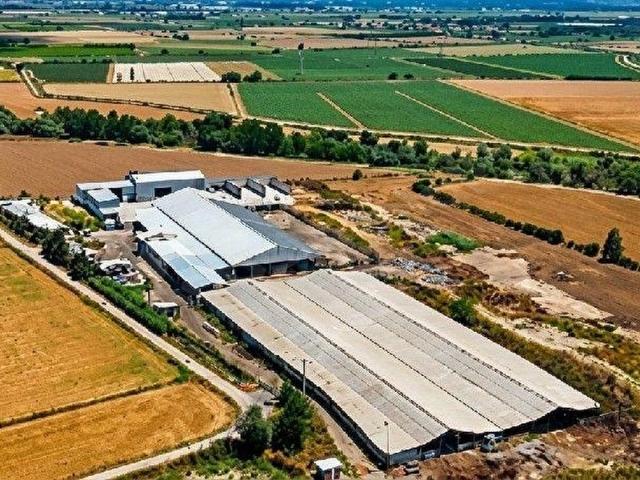 Menemen, İzmir içerisinde satılık Fabrika