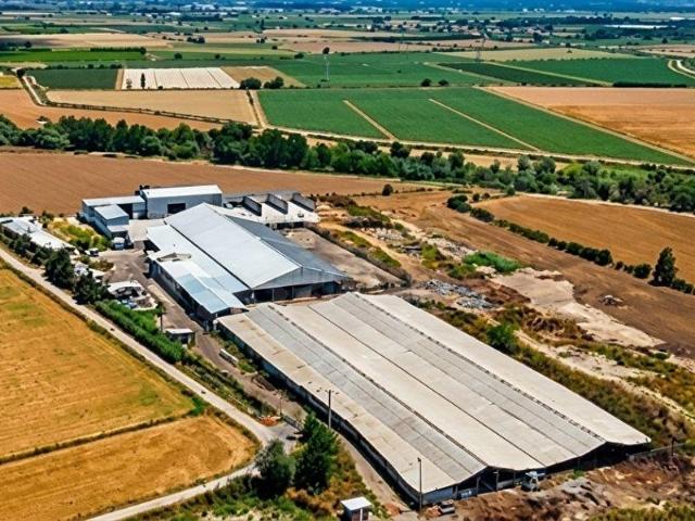Menemen, İzmir içerisinde satılık Fabrika