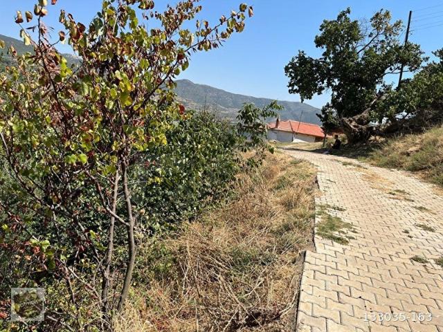 Ödemiş, İzmir içerisinde satılık mülk