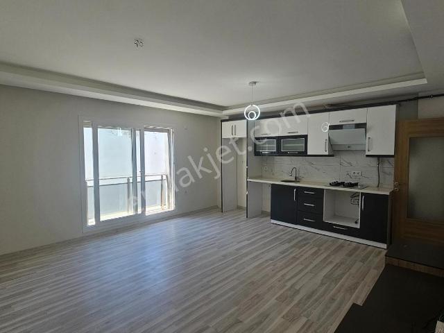 Çolak İbrahim Bey Mahallesi, Seferihisar içerisinde kiralık mülk