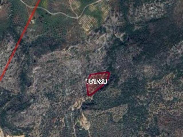 Selçuk, İzmir içerisinde satılık mülk