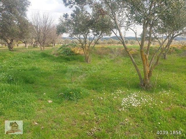 Torbali, İzmir içerisinde satılık Arsa