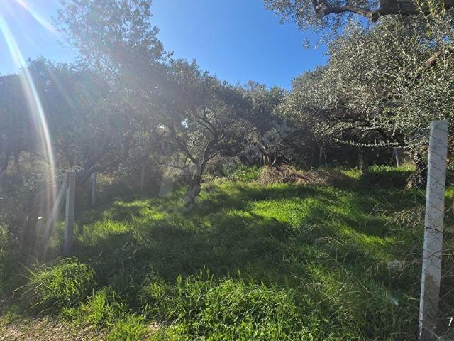 Saipler Mahallesi, Torbali içerisinde satılık Arsa