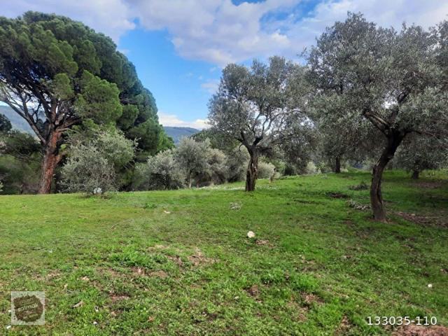 Torbali, İzmir içerisinde satılık mülk