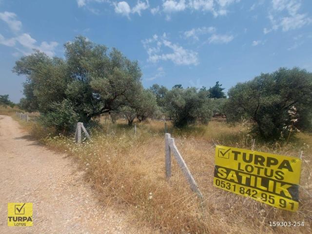 Torbali, İzmir içerisinde satılık mülk