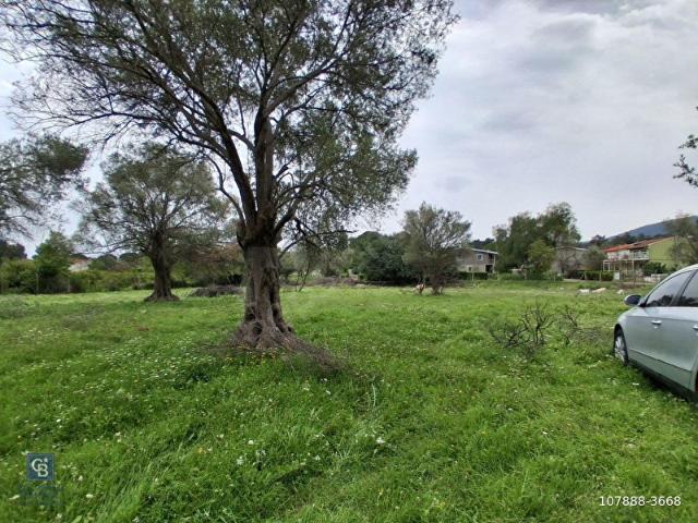 Urla, İzmir içerisinde satılık Arsa